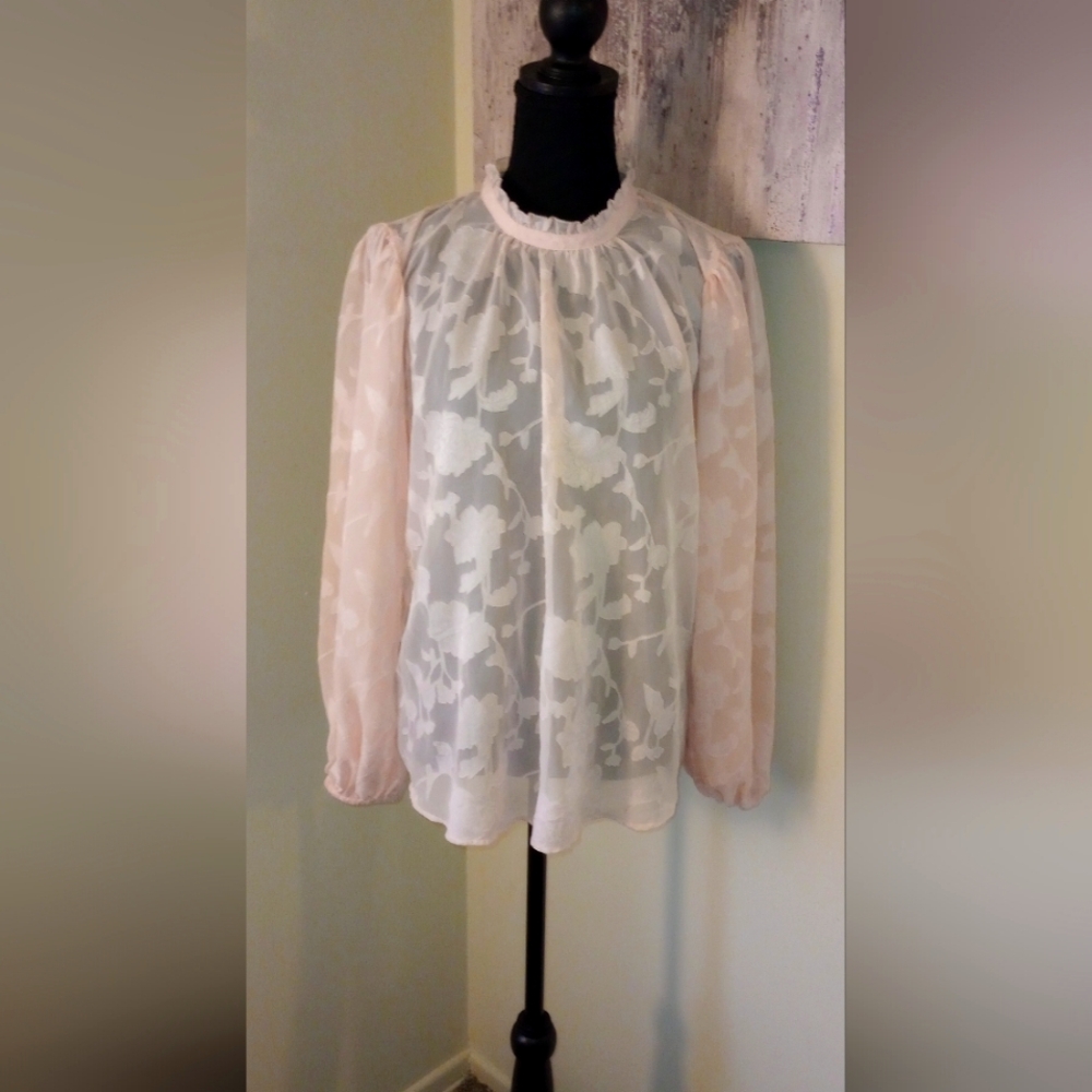 🍒WHBM Light Pink Sheer Blouse Sz LG